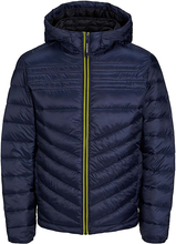 Jack & Jones Daunenjacke JJEHERO PUFFER HOOD NOOS 12211785